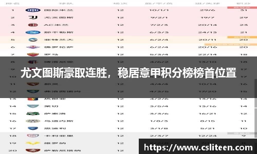 快盈V