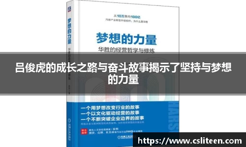 快盈V